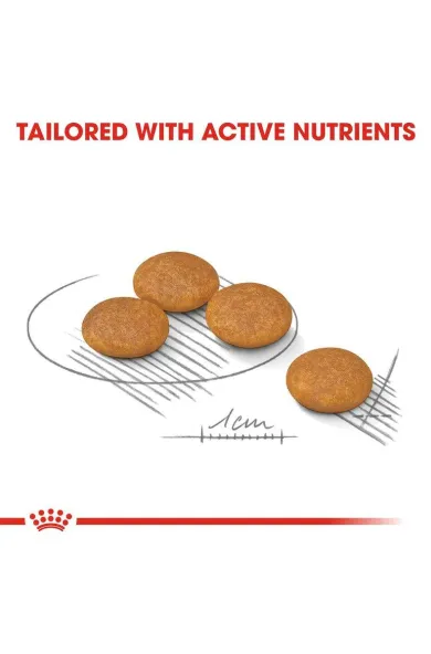Royal Canin Mini Dermacomfort - 3Kg